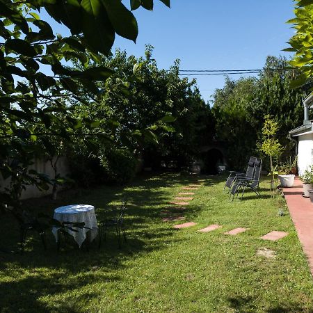 Apartman Dvoristance Golubac Esterno foto